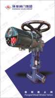 电站截止阀2