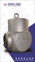 高压锻造止回阀