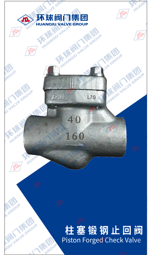 PistonCheckValve