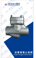 PistonCheckValve