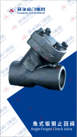 AngleCheckValve