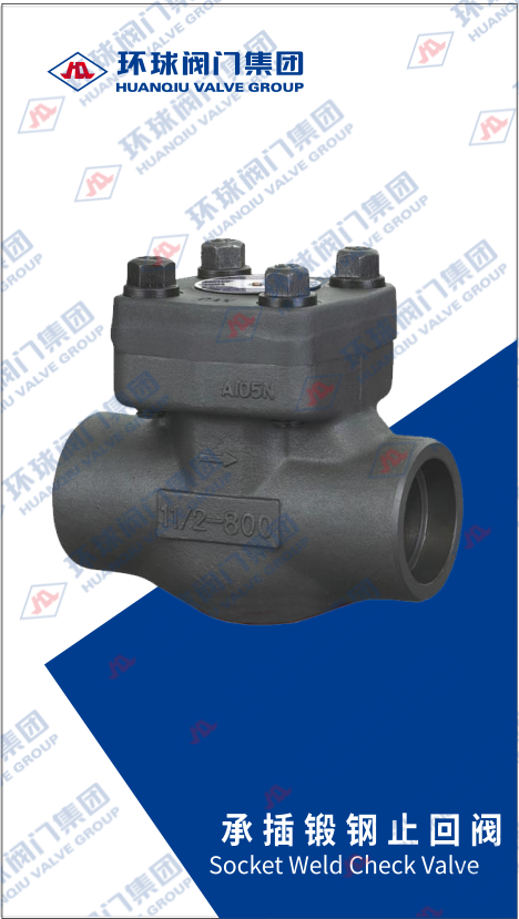 SWCheckValve