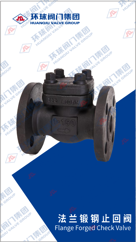 FlangeCheckValve