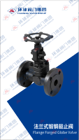 FlangForgedGlobeValve