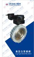 LugbutterflyValve
