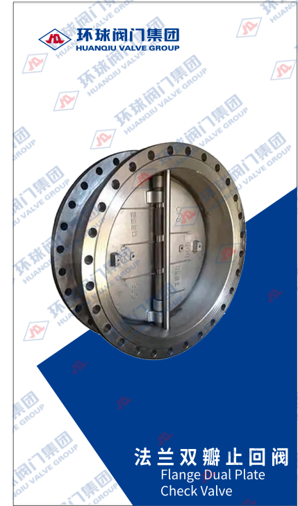 FlangeDPCheckValve
