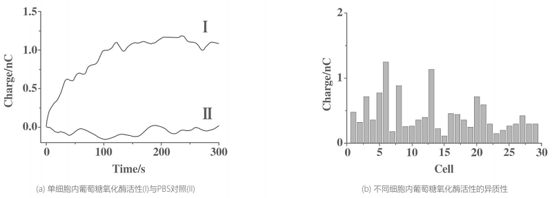 单细胞内部酶活性检测