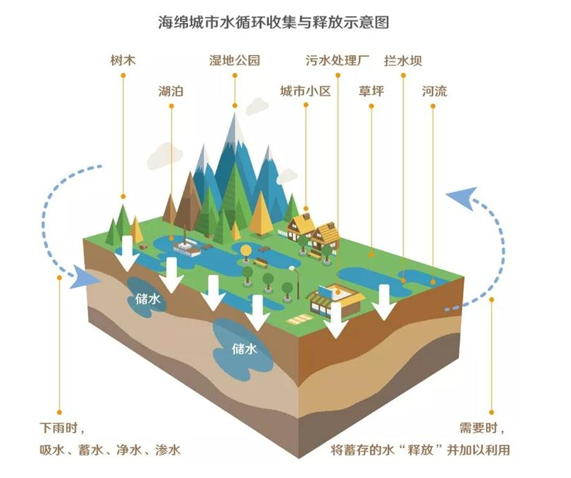 雨水收集利用与管理城市篇