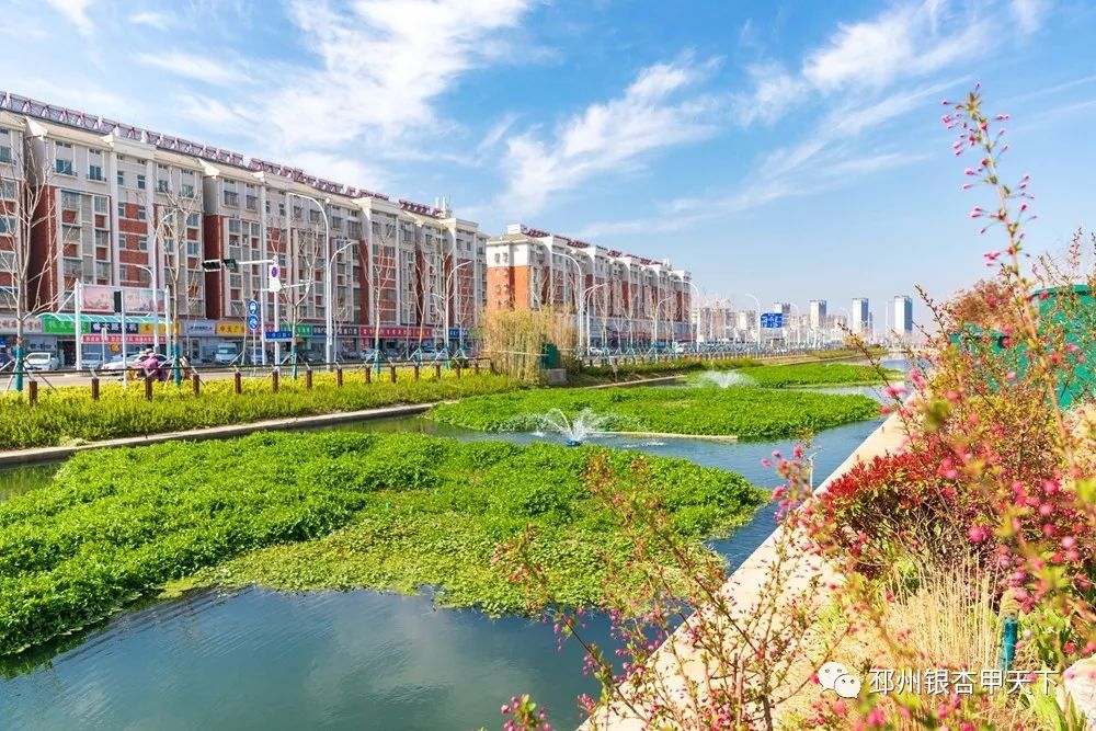 微信图片_20190427161800