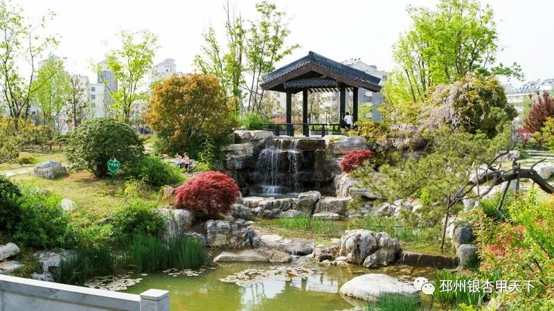 微信图片_20190427161805