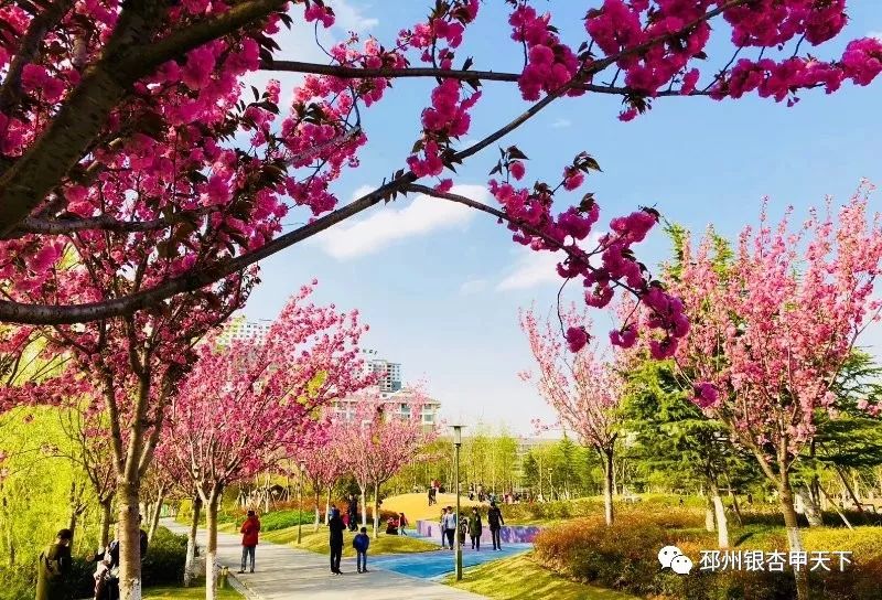 微信图片_20190427161808