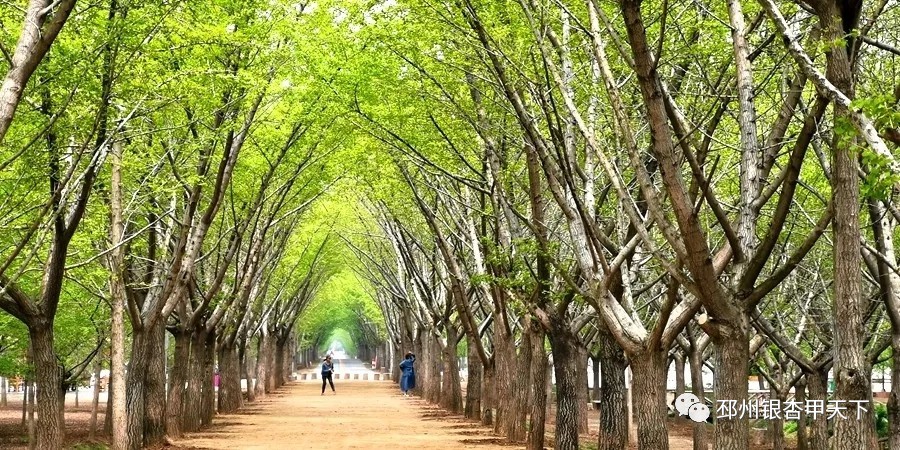 微信图片_20190427161822