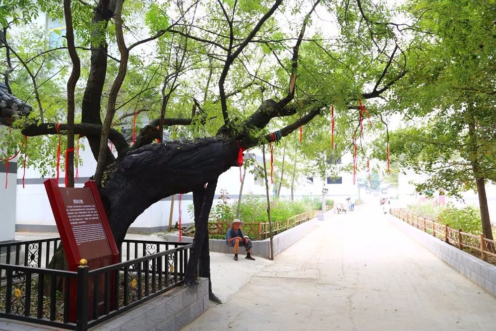 微信图片_20190427161836