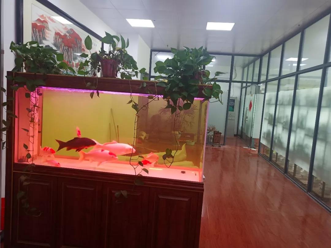 微信图片_20190428163832