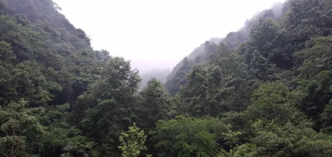 微信图片_20190529172441