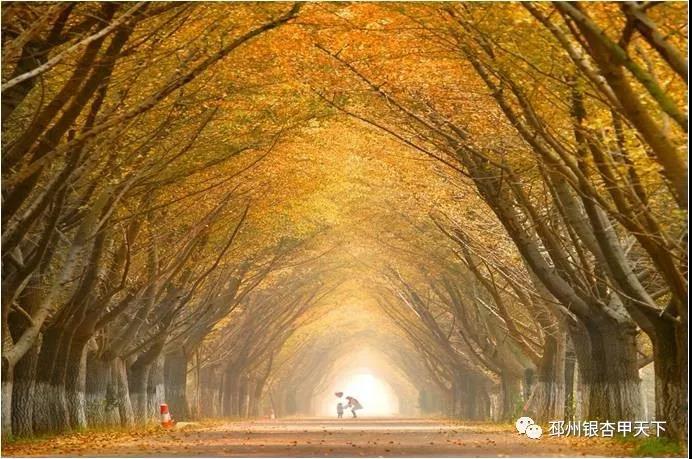 微信图片_20190530165050