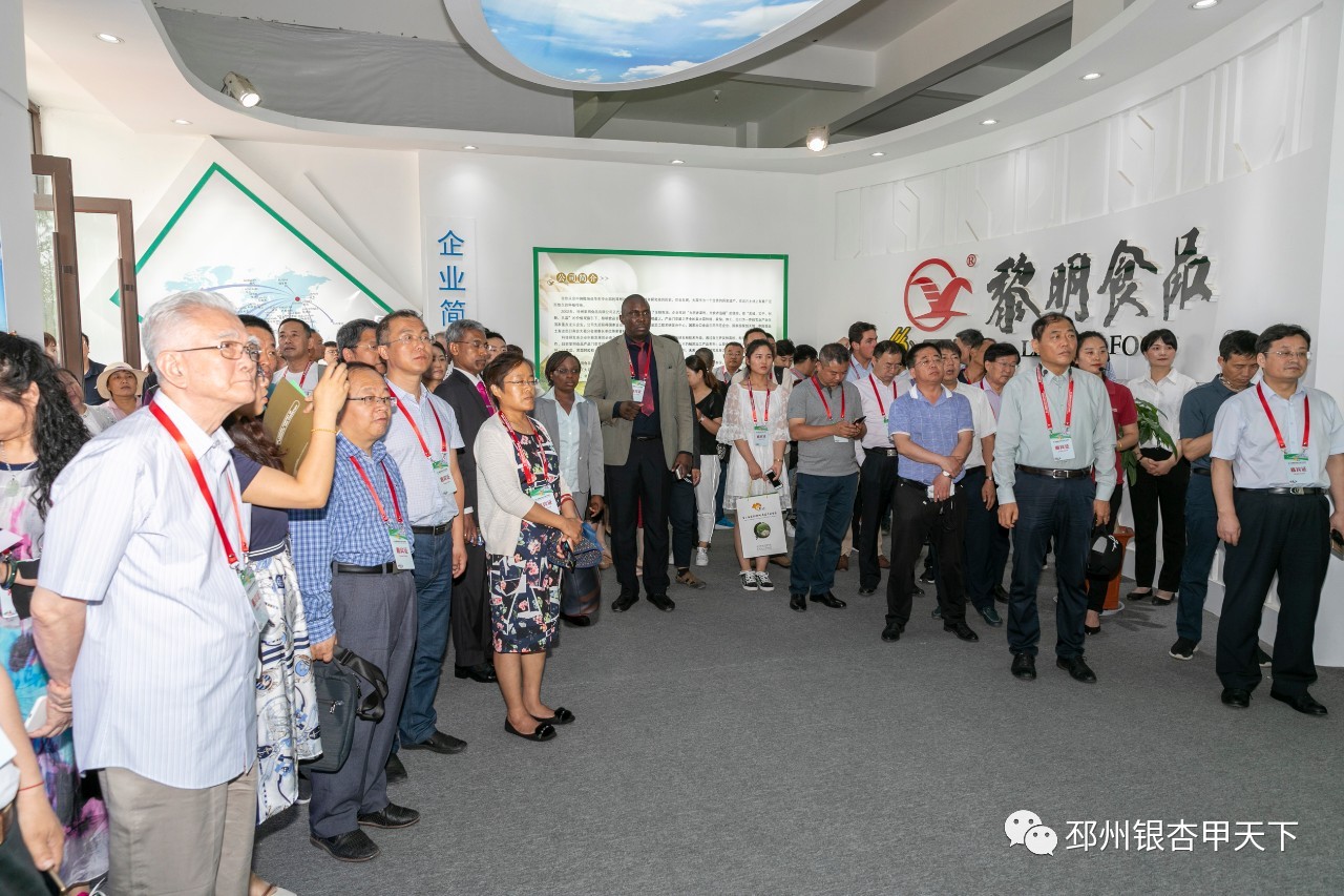 微信图片_20190614101954