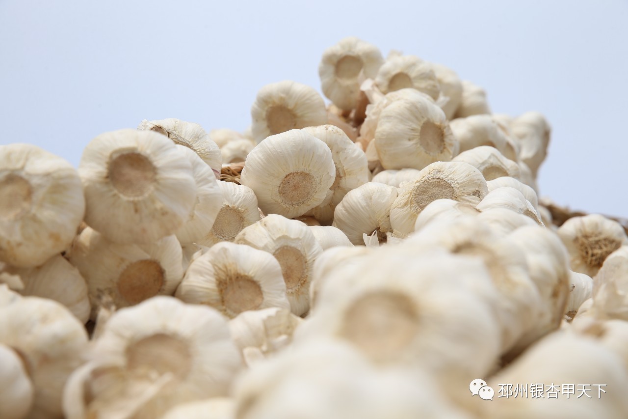 微信图片_20190614102024