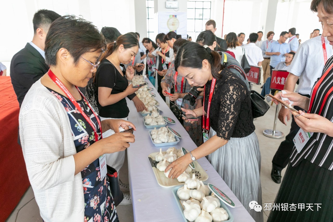 微信图片_20190614102026