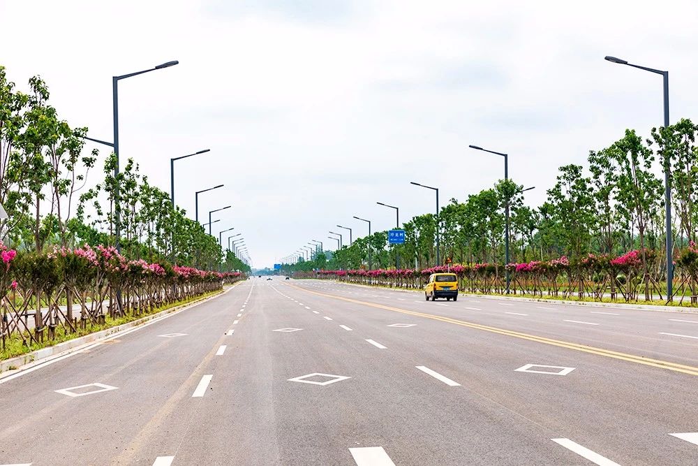 微信图片_20190618090437