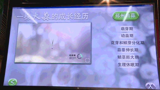 微信图片_20190618154242