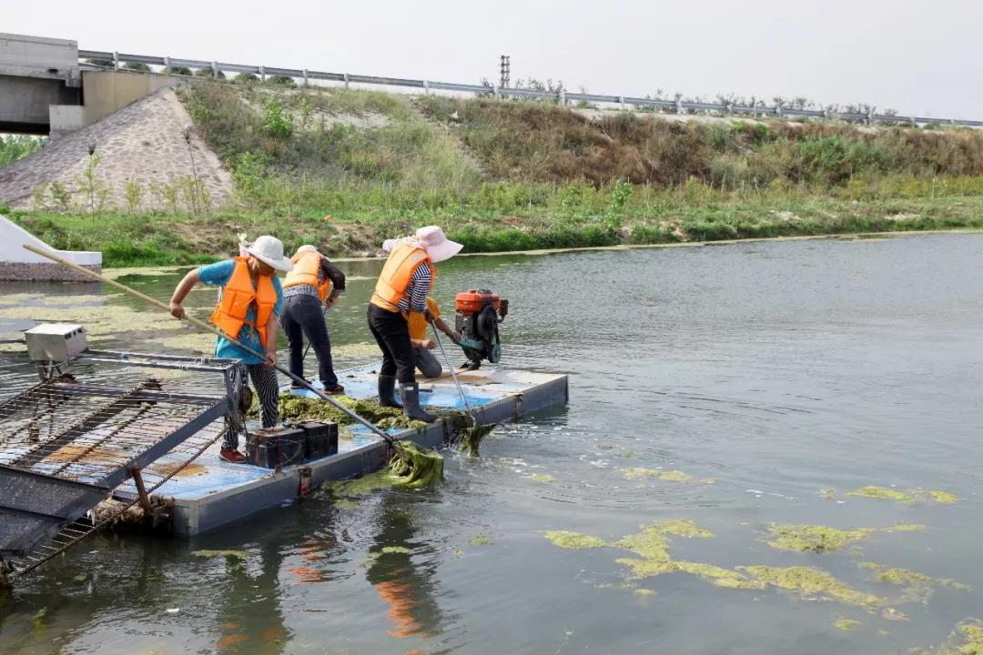 微信图片_20190620091441