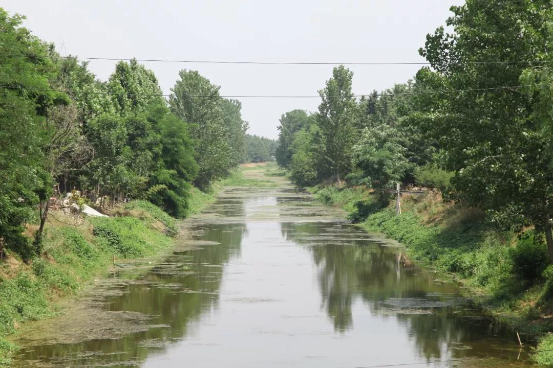 微信图片_20190620091437