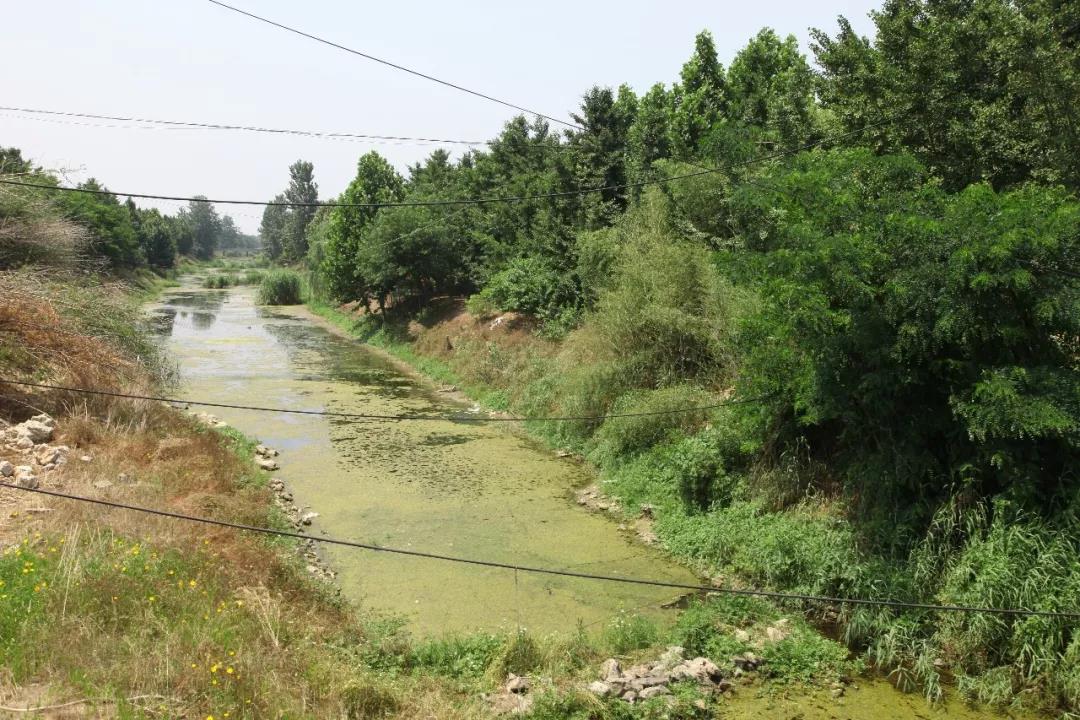 微信图片_20190620091434