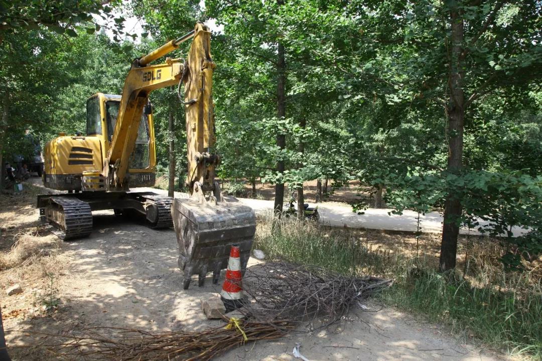 微信图片_20190620091431