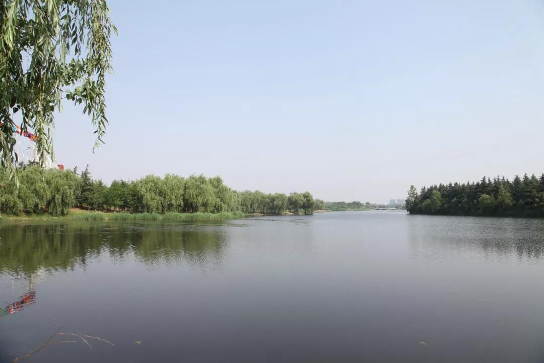 微信图片_20190620091429