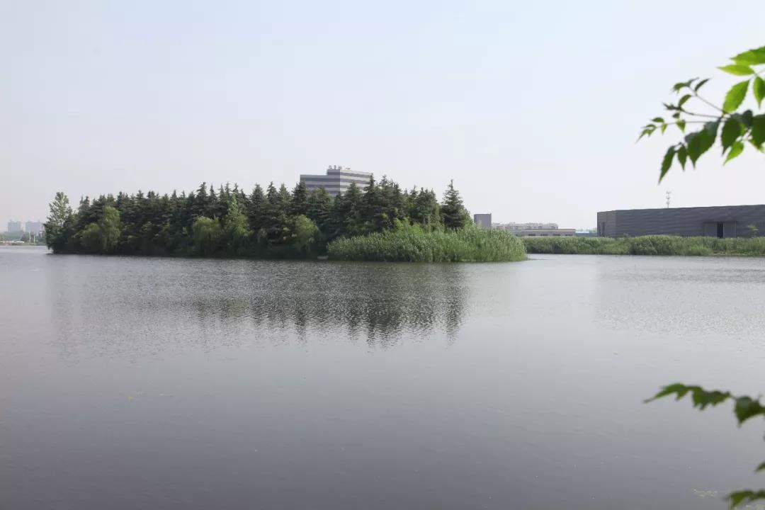 微信图片_20190620091421