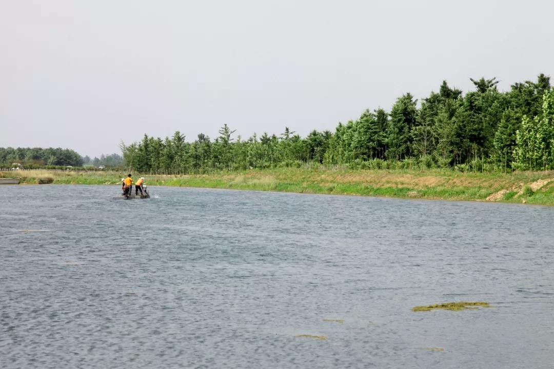 微信图片_20190620091418