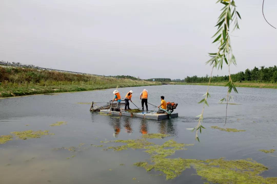 微信图片_20190620091413