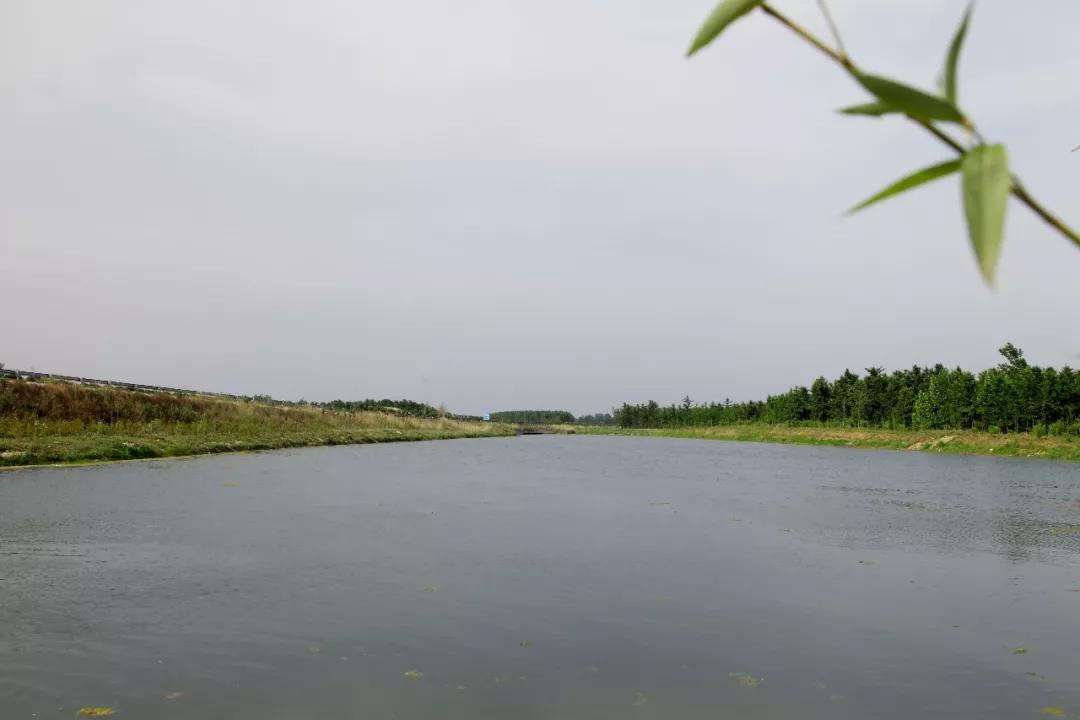 微信图片_20190620091411