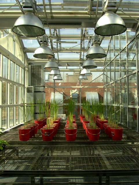3-2植物溫室