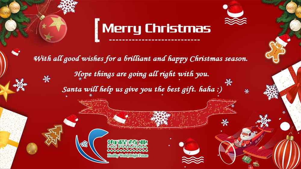 merry christmas & happy new year 2020!