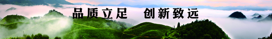 00品質立足創新致遠