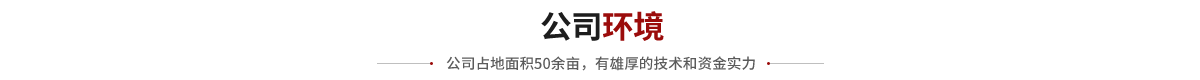A公司环境