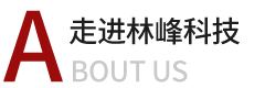 走进