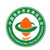 gap4