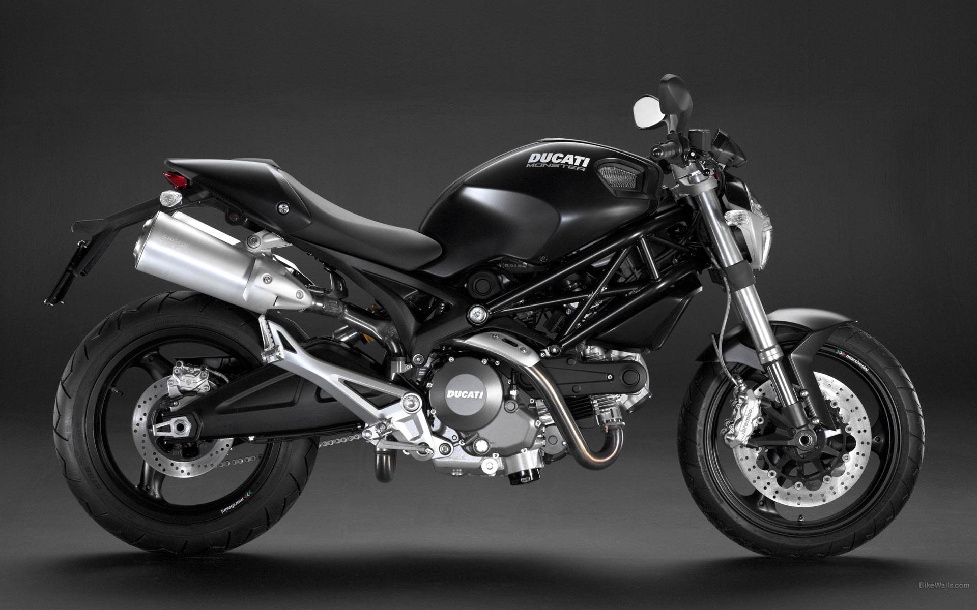 Ducati
