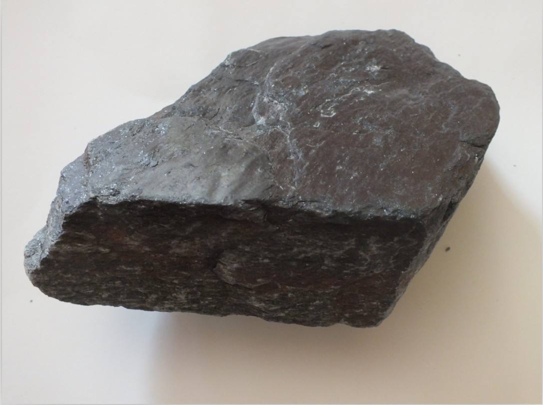 timg-2