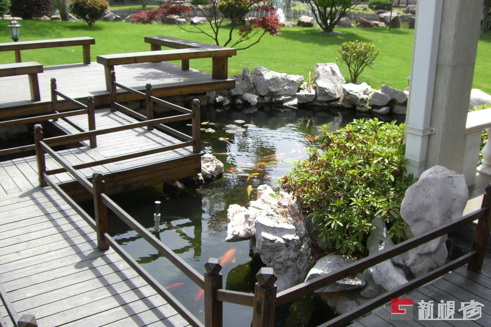 庭院景观小水池深度,庭院鱼池深度,庭院3平方小鱼池_大山谷图库