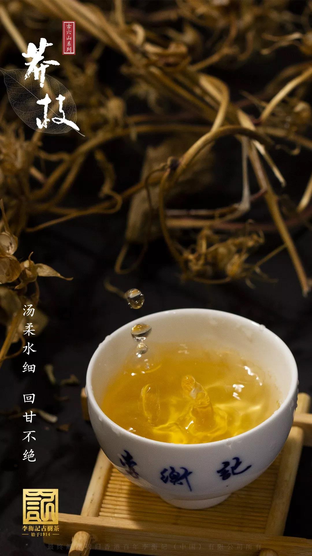 李衡记古树茶 1901莽枝 最温暖的花香 盛开在最冰凉的茶汤
