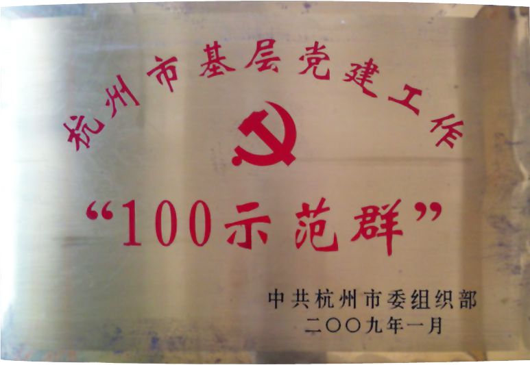 杭州市基层党组织“100示范群”