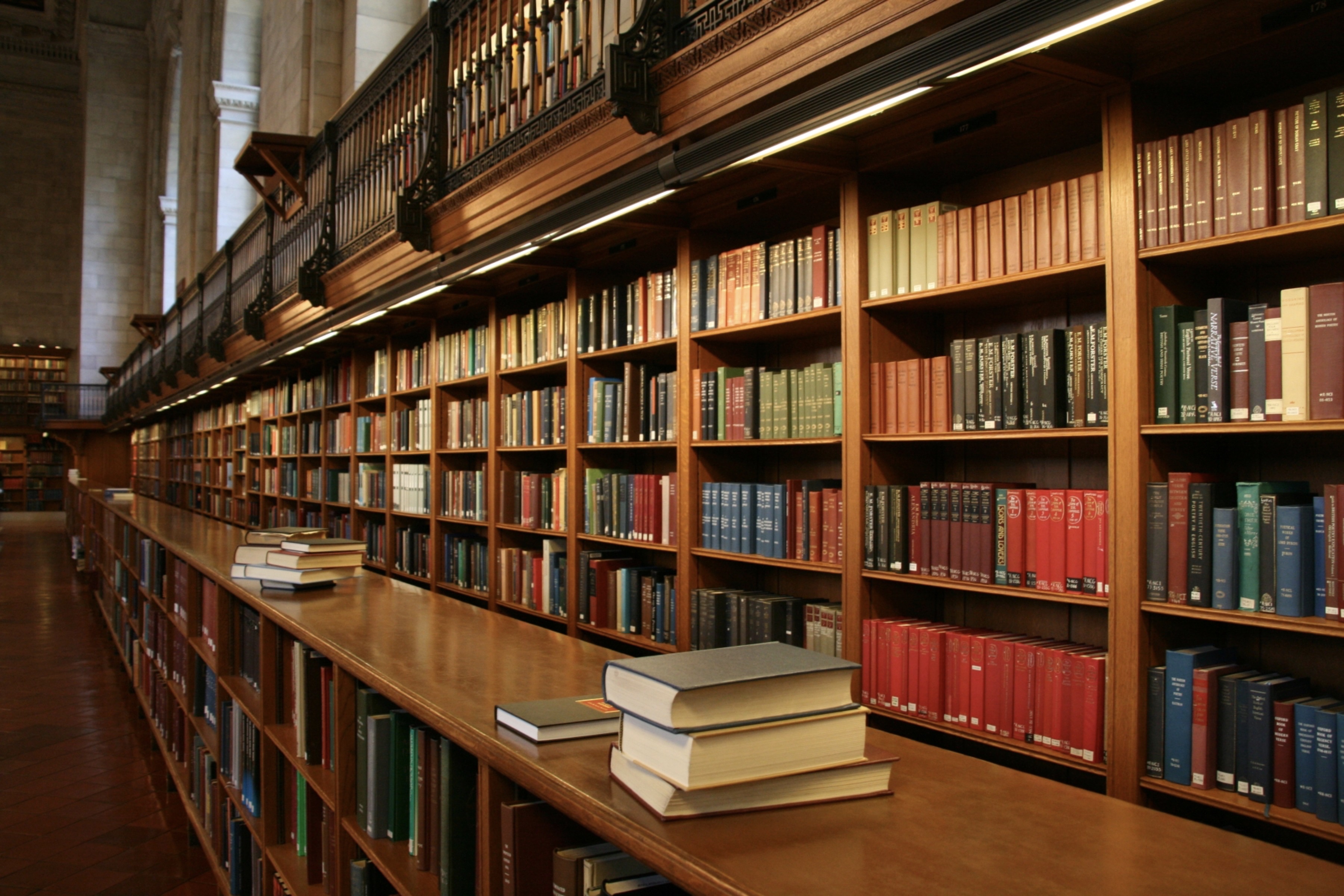 Livros enfileirados em uma biblioteca. (Reprodução/Timetrax23 CC BY-SA 2.0)