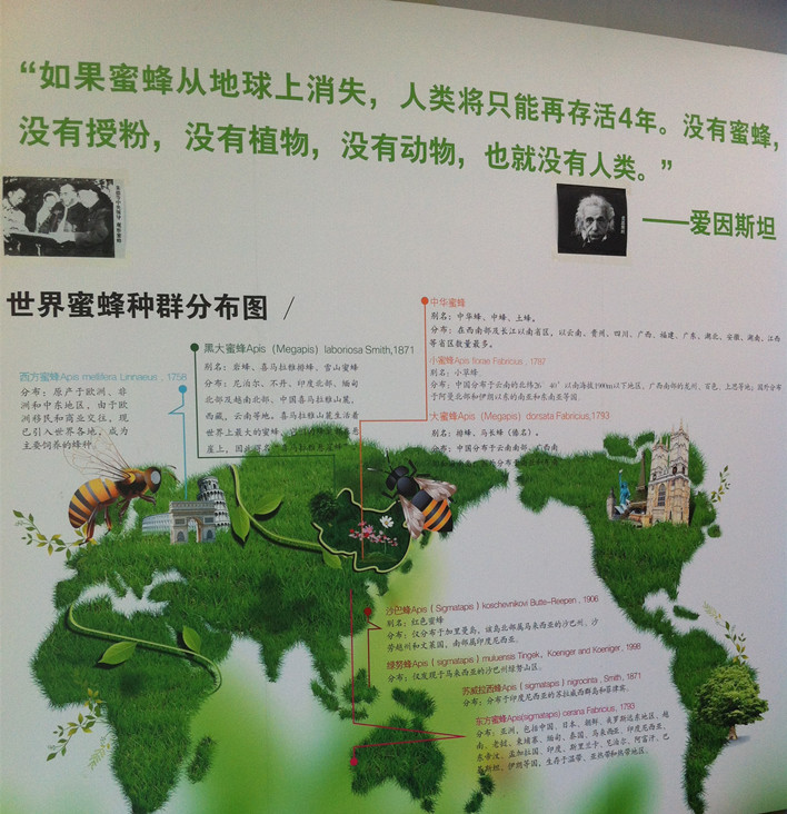 爱因斯坦曾预言