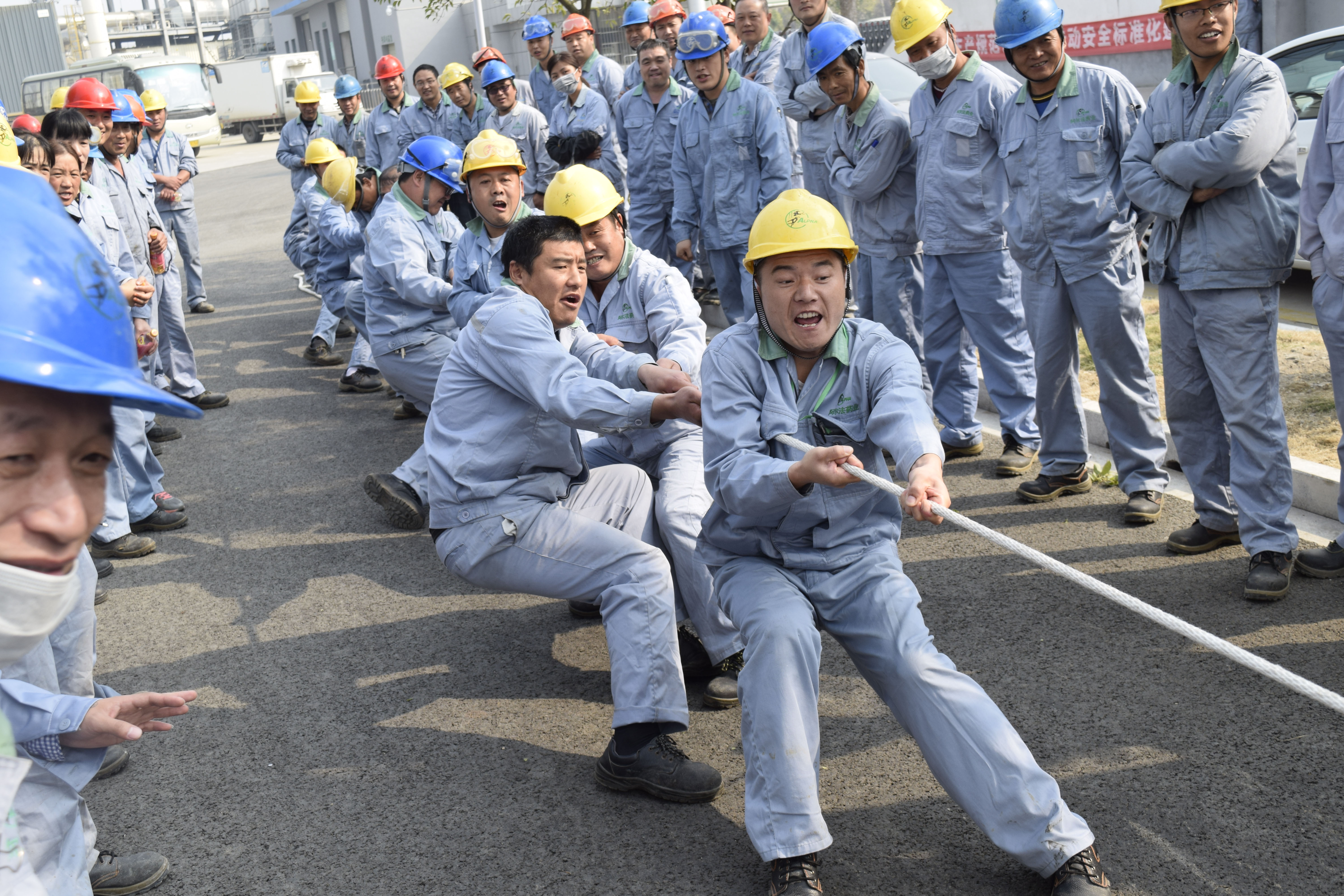 新建文件夹-_DSC0728