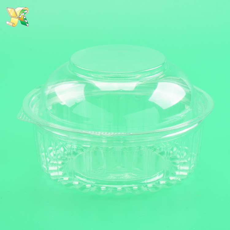Disposable-plastic-food-packaging-storage-container-box-1