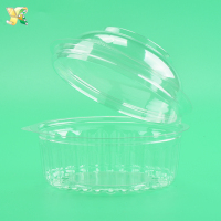 Disposable-plastic-food-packaging-storage-container-box-2